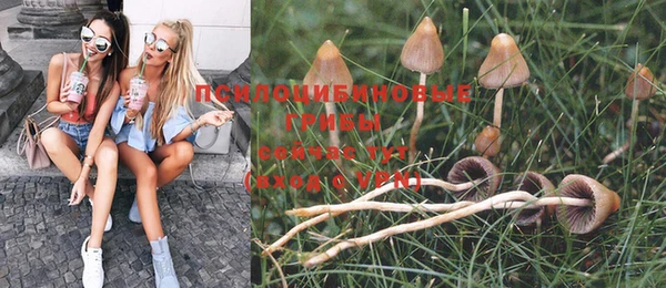 амф Покачи