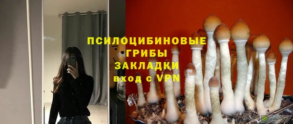 амф Покачи