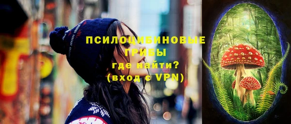 амф Покачи
