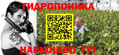 spice Волгодонск