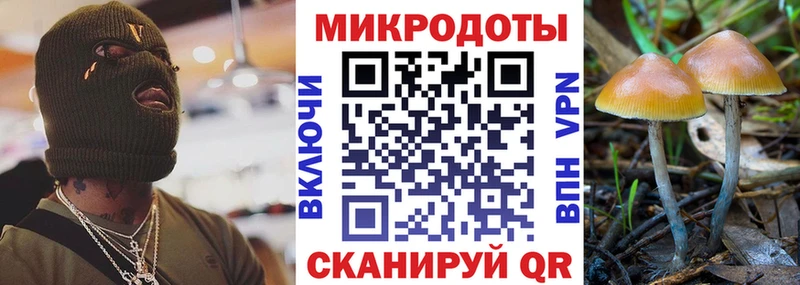 где купить наркотик  Краснотурьинск  Галлюциногенные грибы Psilocybe 
